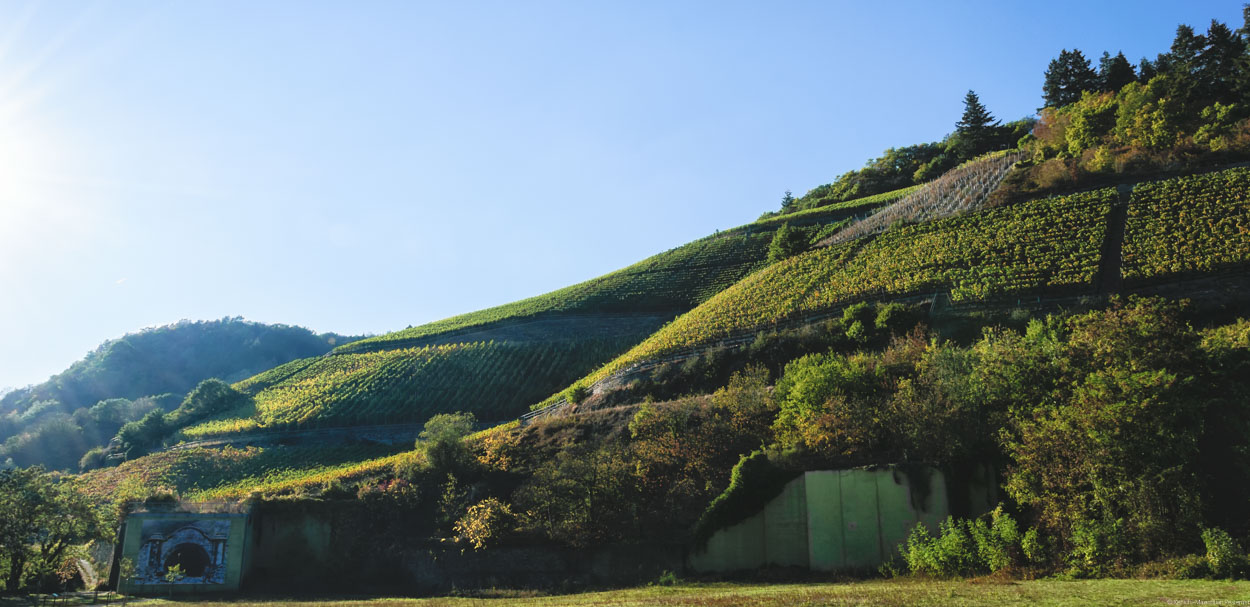 Am Weinberg Klostergarten im Ahrtal erkennt man den alten Eingang zum Bunkersystem