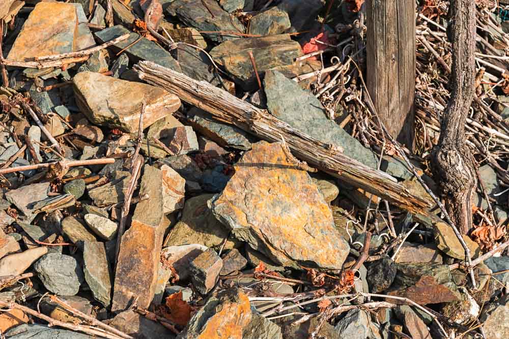 Grauwacke auf einem Weinberg im Ahrtal