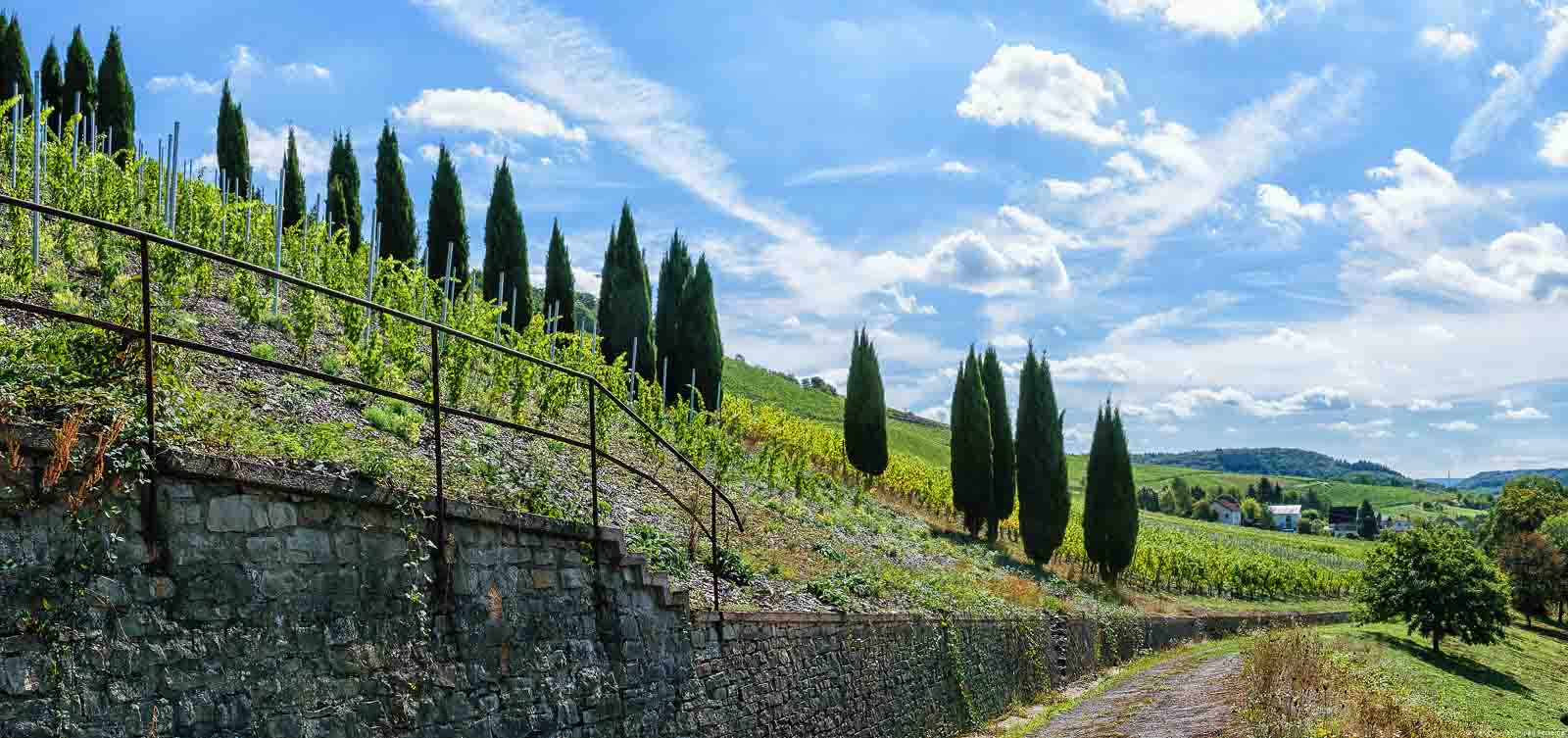 Weg und Bäume zur Rechten; Mauer aus Gestein aus Schiefer zur Linken. Steiler Weinberg Filzener Pulchen mit Bäumen am Hang auf der linken Seite; Wolken am blauen Himmel