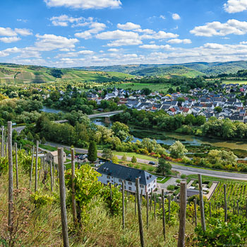 Vom Weinberg Kanzemer Altenberg blickt man auf den alten Weinbauort Kanzem an der Saar.