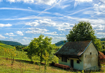 Auf dem Weinberg befindet sich ein altes kleines Haus. Am blauen Himmel sind Wolken.