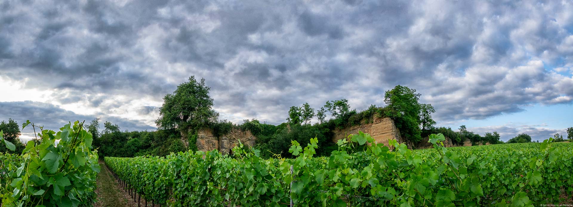 Weinberg mit Felsen aus Muschelkalk sowie bewölktem Himmel bei Sonnenuntergang