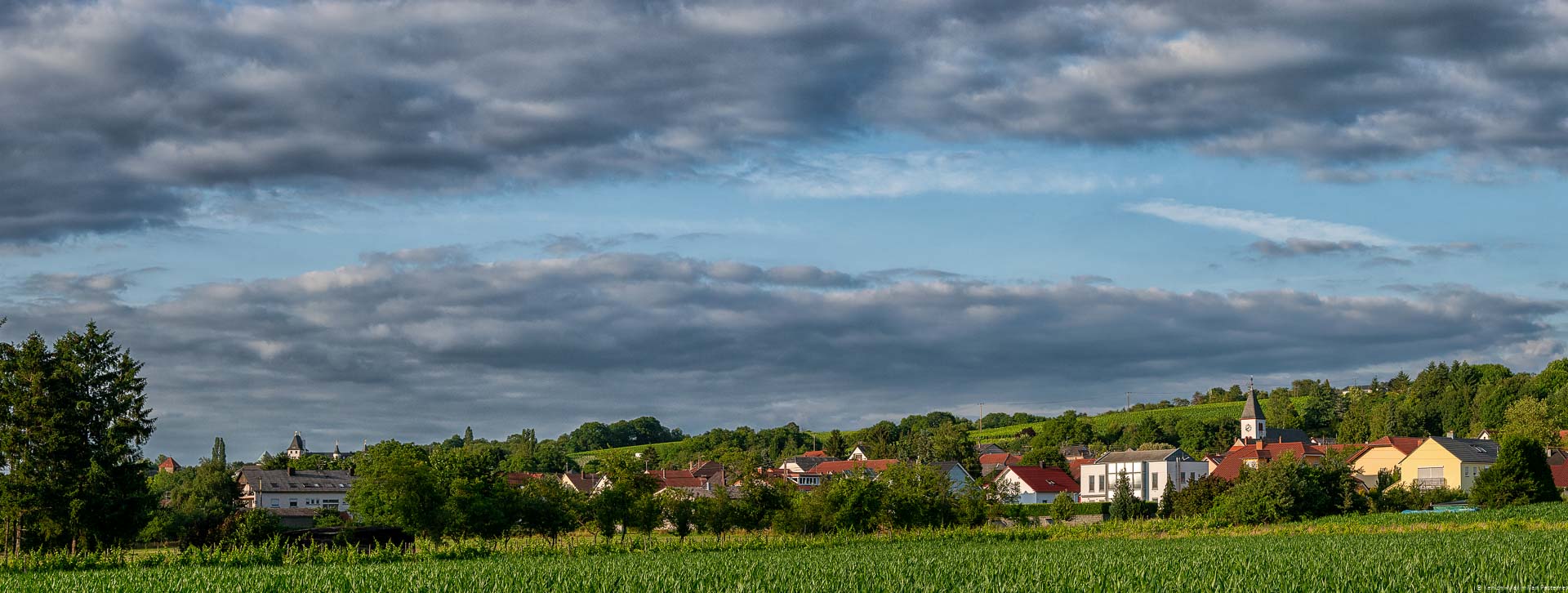 Der Nenniger Römerberg stellt einen der Ursprünge der Weine des Saarlands dar