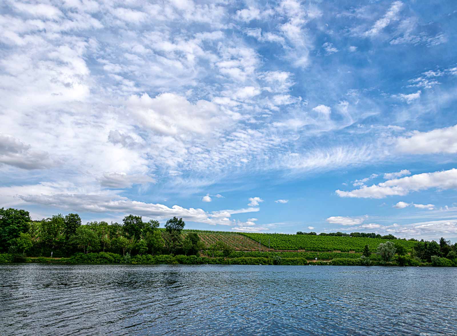 Vorne fließt der Fluss Mosel. Am anderen Ufer liegt ein Weinberg. Der Himmel ist bewölkt.