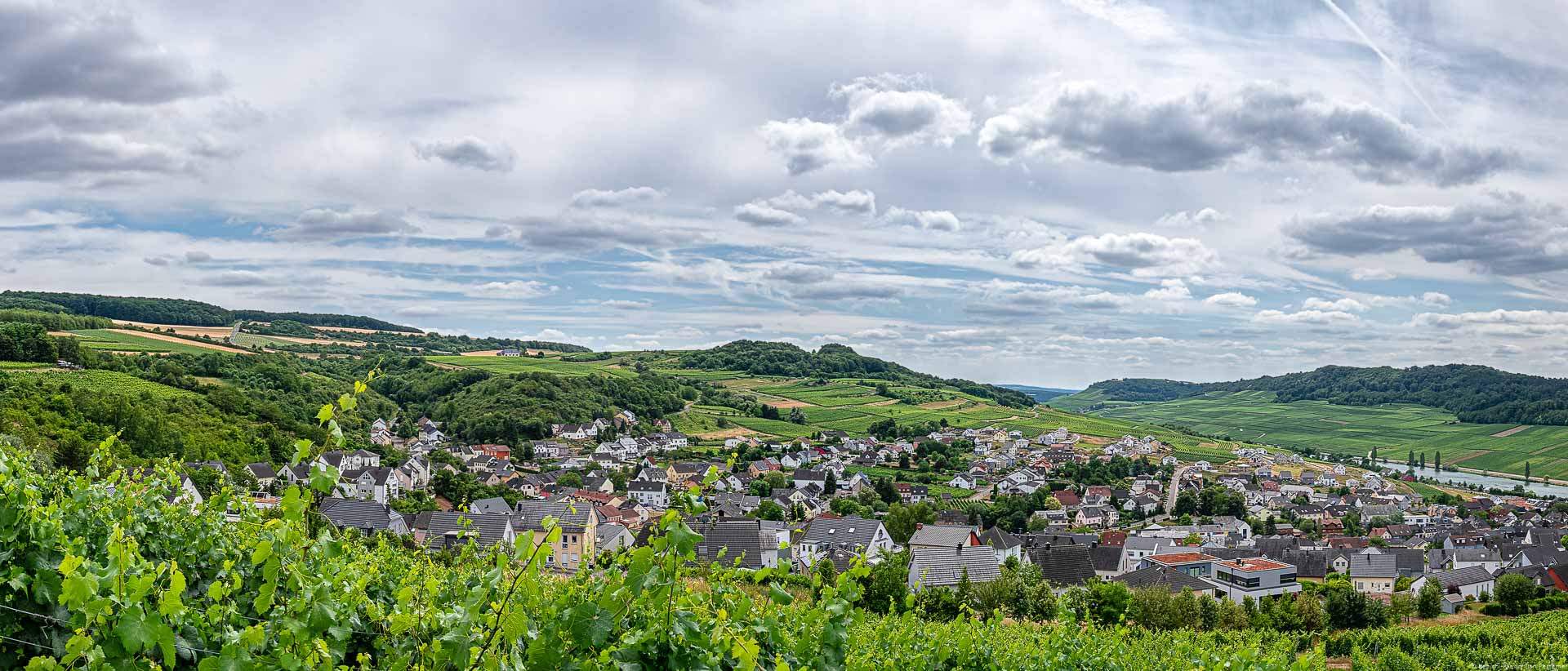 Weinberge im Vordergrund, Dorf in der Mitte, Mosel auf der rechten Seite sowie Weinberge und bewölkter Himmel im Hintergrund