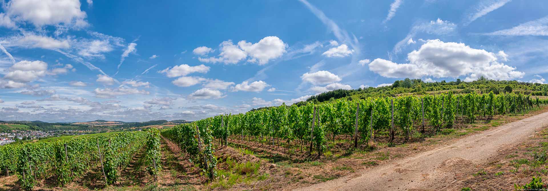 Weinberg und blauer Himmel mit einigen Wolken