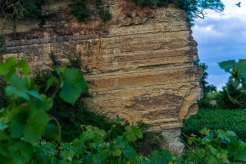 Muschelkalk Fels im Weinberg