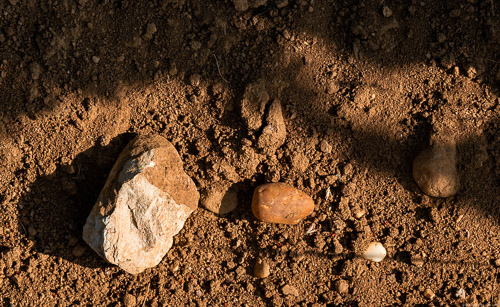 Muschelkalk und Gestein