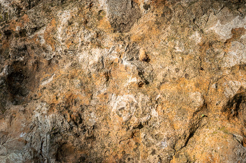 Muschelkalk als massives Gestein