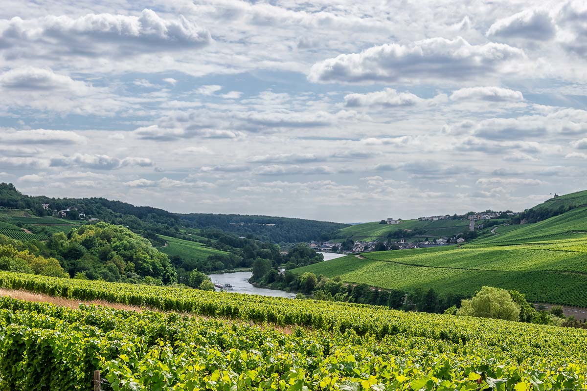 Mosel mit Weinbergen Deutschlands, z.B. der Rehlinger Kapellenberg, und Luxemburgs an beiden Seiten; ein Ort im Hintergrund mit bewölktem Himmel. Man erkennt das Wormeldange Koeppchen.