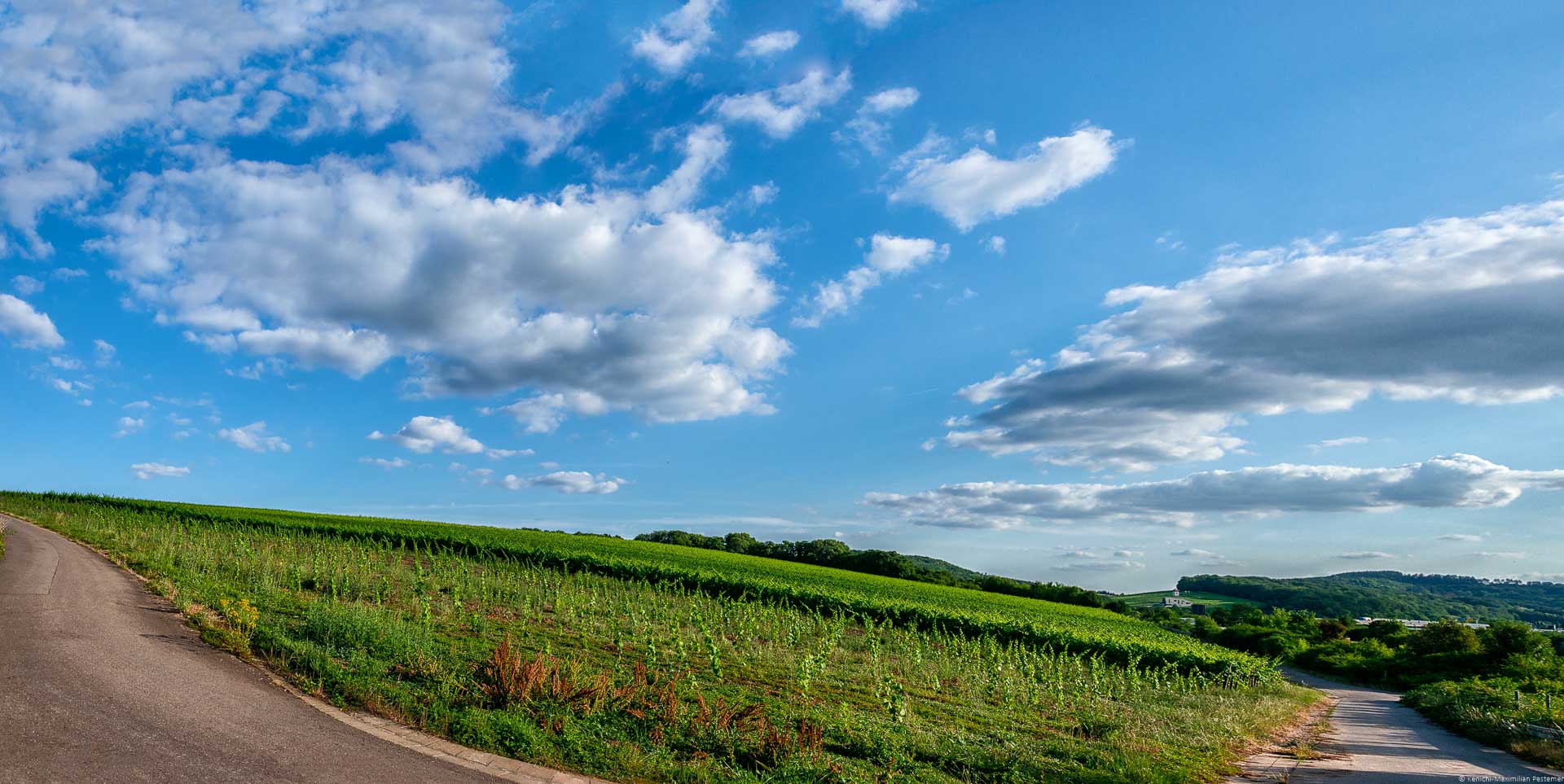 Wege befinden sich um Weinberg Sehndorfer Klosterberg herum und am blauen Himmel sind Wolken. Am anderen Ufer befindet sich das Land Luxemburg