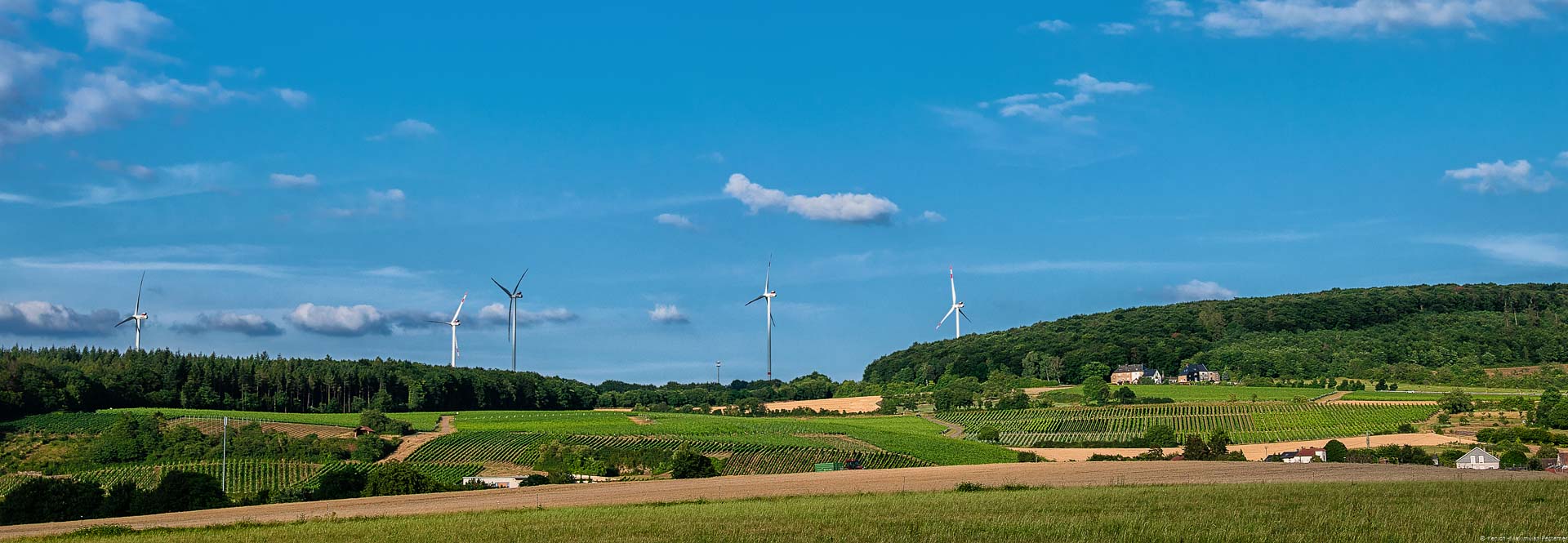 Felder sind im Vordergrund. Der Weinberg Sehndorfer Marienberg befindet sich in der Mitte. Rund herum sind Wälder, Windräder sowie blauer Himmel mit wenigen Wolken.