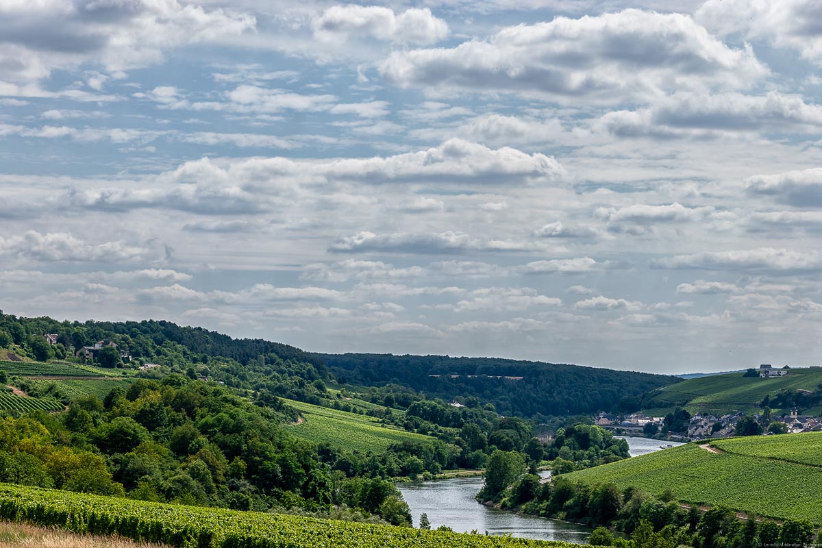 Mosel mit Weinbergen Deutschlands und Luxemburgs an beiden Seiten; ein Ort im Hintergrund mit bewölktem Himmel. Am linken Ufer liegt der Obermosel-Weinberg Wincheringer Burg Warsberg.