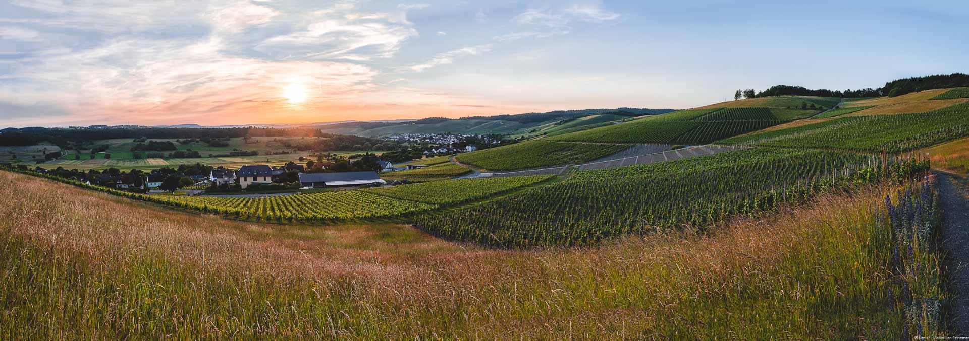 Im Seitental der Saar erstrecken sich weitläufige hängige Weinberge. Es ist ein Sonnenuntergang am Weinberg Krettnacher Euchariusberg im Tälchen beim Ort Krettnach. Vorne erkennt man eine Wiese. Dahinter sind Weinberge und die Orte Krettnach und Niedermennig. Man erkennt im Hintergrund auch einige Wälder und die Abendsonne am Himmel.