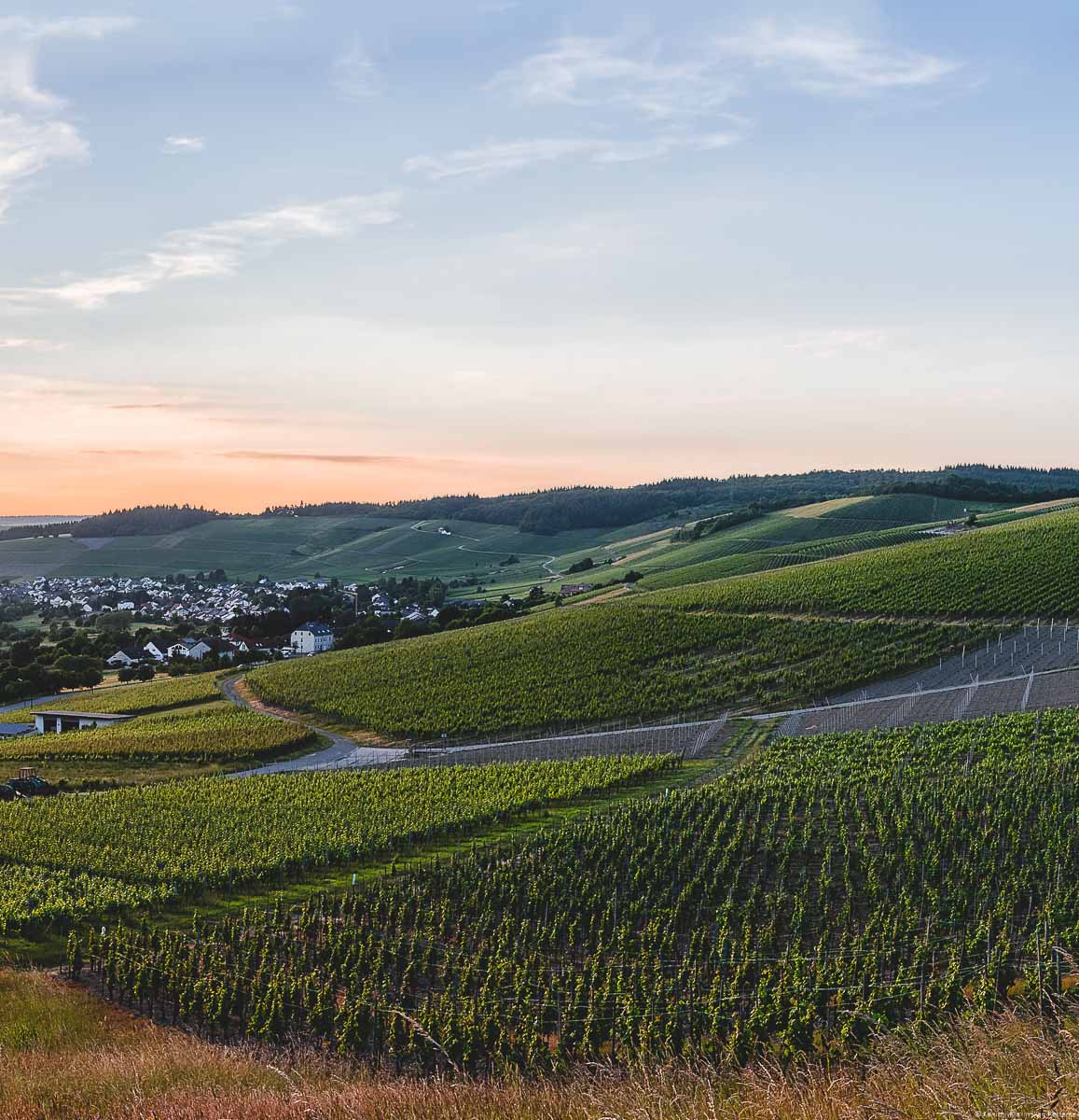 Vorne auf dem Bild erblickt man den Weinberg Niedermenniger Sonnenberg. Links in der Mitte des Bildes befinden sich die Orte Krettnach und Niedermennig. Im Hintergrund sind weitere Weinberge mit Wäldern am Rand. Der Himmel ist bläulich und rötlich und die Sonnen geht unter.