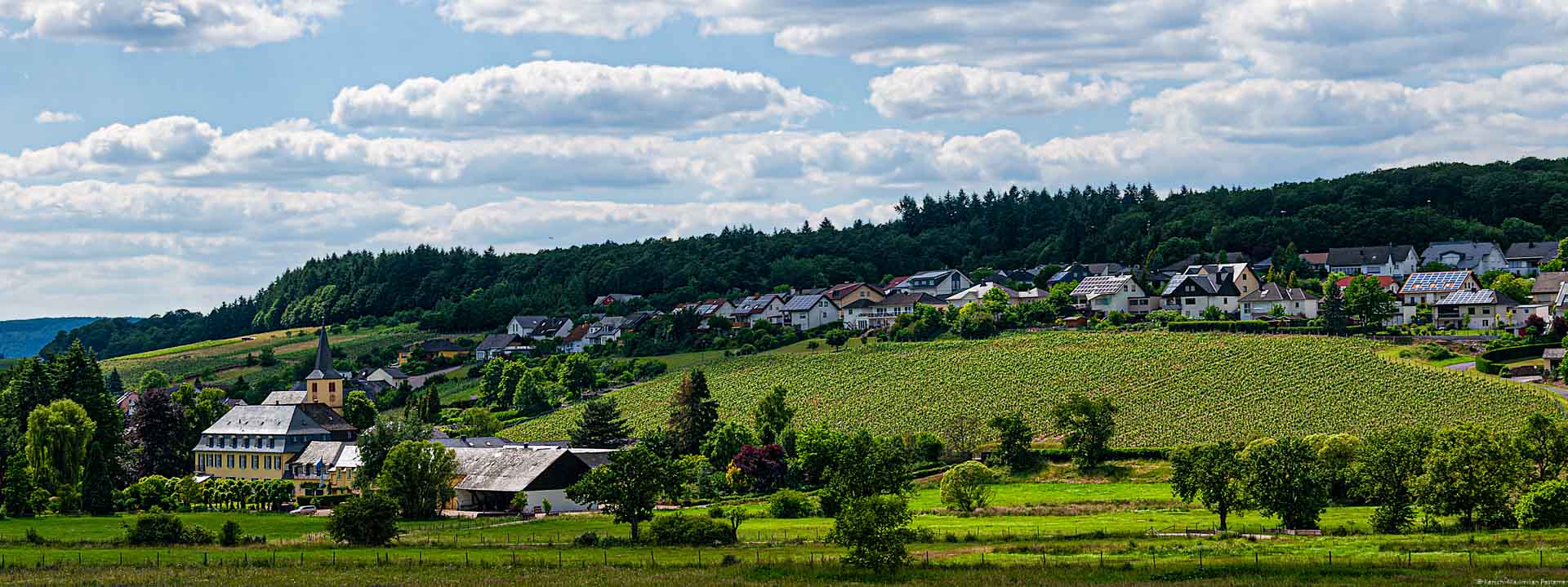 Vorne sind Wiesen und ein Weingut. Dahinter liegt der Weinberg Oberemmeler Agritiusberg und ein Dorf. Oben ist Himmel.