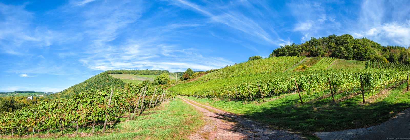 Der Weg führt in den Weinberg Ockfener Bockstein. Die Himmel ist blau mit einigen Wolken