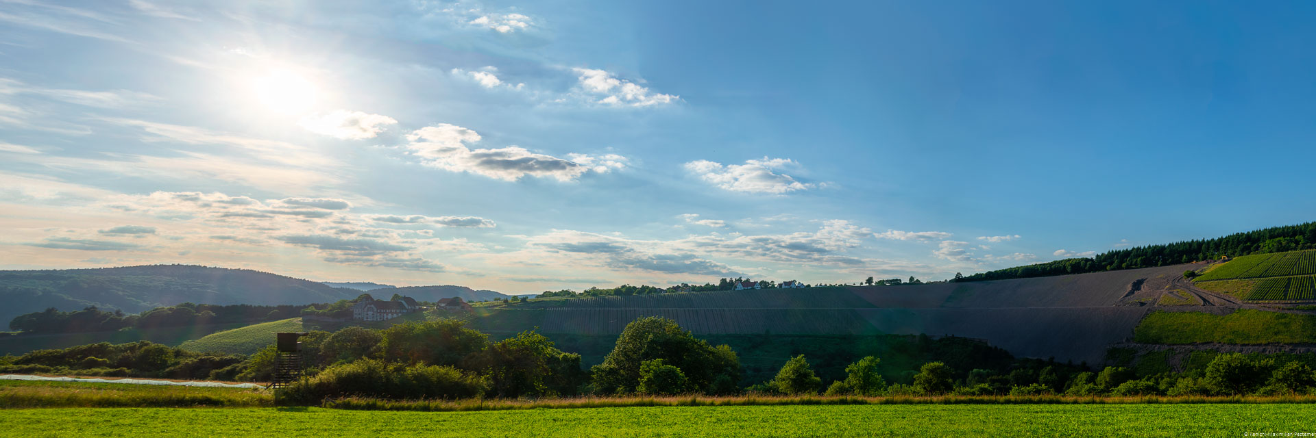 Vorne ist eine Wiese. Dahinter ist Wald. Dahinter liegt der WeinbergSerriger Schloß Saarsteiner Schloßberg mit Weingut und einigen Häuser; Sonne und einige Häuser am Himmel mit Wolken.
