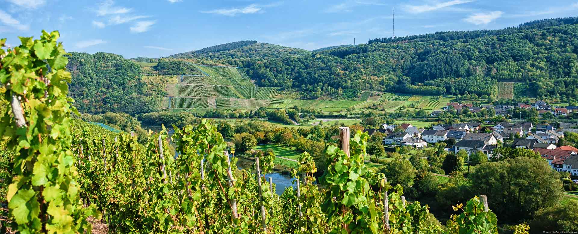 Blick von Weinberg Saarfeilser Marienberg über den Fluss Saar auf den Ort Schoden zu rechten und den steilen Schodener Herrenberg zur linkend; blauer Himmel mit einigen Wolken