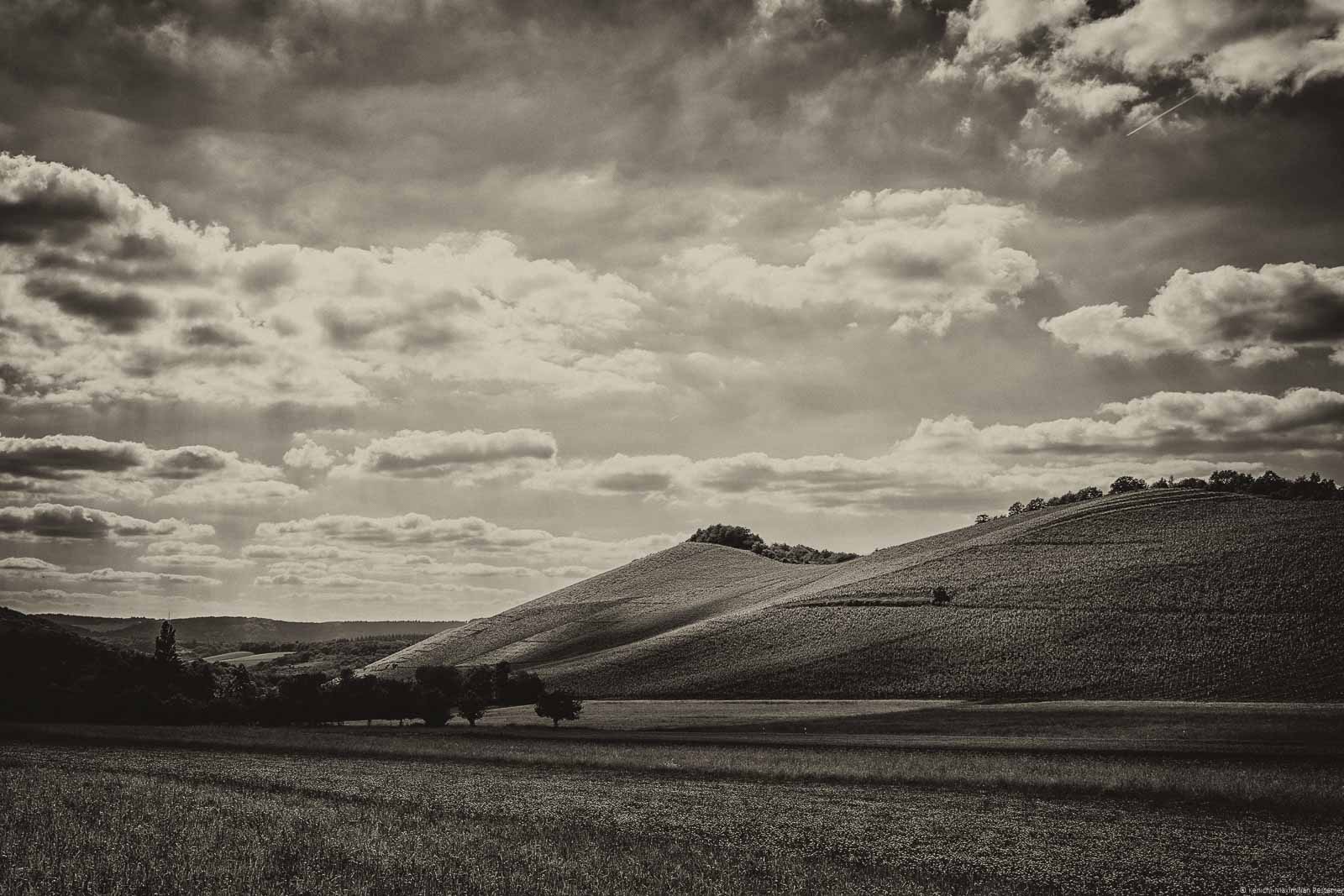 An der Saar ist der Wiltinger Scharzhofberg dank Egon Müller der berühmteste Weinberg. Vorne auf dem Bild erkennt man eine Wiese. Dahinter befindet sich der Weinberg mit den Riesling Reben. Am Himmel ist Wolken.
