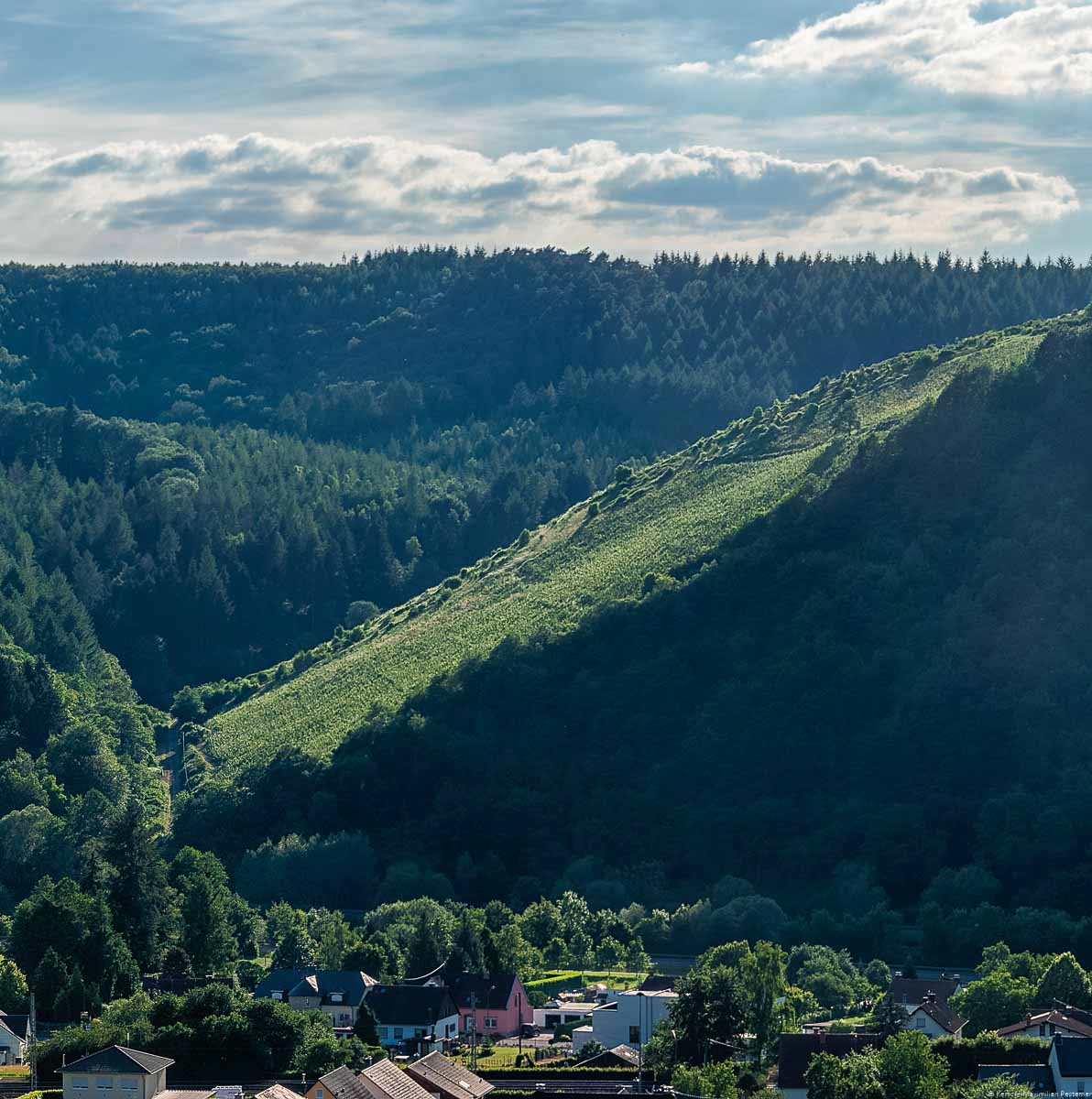 Vorne unterhalb des Weinberges befindet sich der Ort Serrig und der Fluss Saar. Am gegenüberliegenden Ufer befindet sich der steile Weinberg Serriger Antoniusberg. Er ist von Wäldern umgeben. Am Himmel sind Wolken.