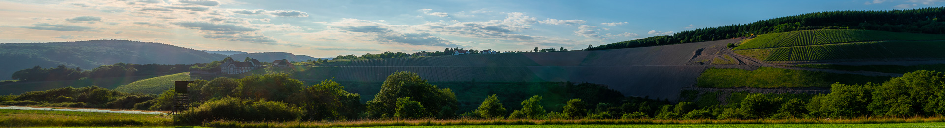 Vorne befinden sich Wiesen und Wälder. Dahinter liegt ein Weinberg.Der Weinberg Serriger Vogelsang befindet sich im unteren Teil des steilen Hanges. Auf dem Hang ist in Weingut zusammen mit Häuser. Am Himmel sind Wolken.