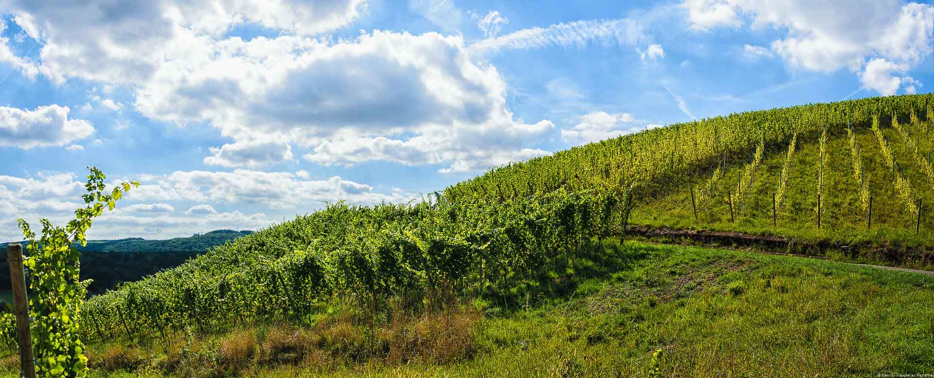 Wolken ziehen über diesen alten Weinberg Wawerner Herrenberger an der Saar.