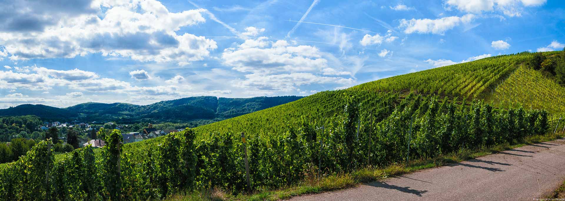 Von dem Weinberg Wawerner Herrenberger kann man weit in die Ferne blicken