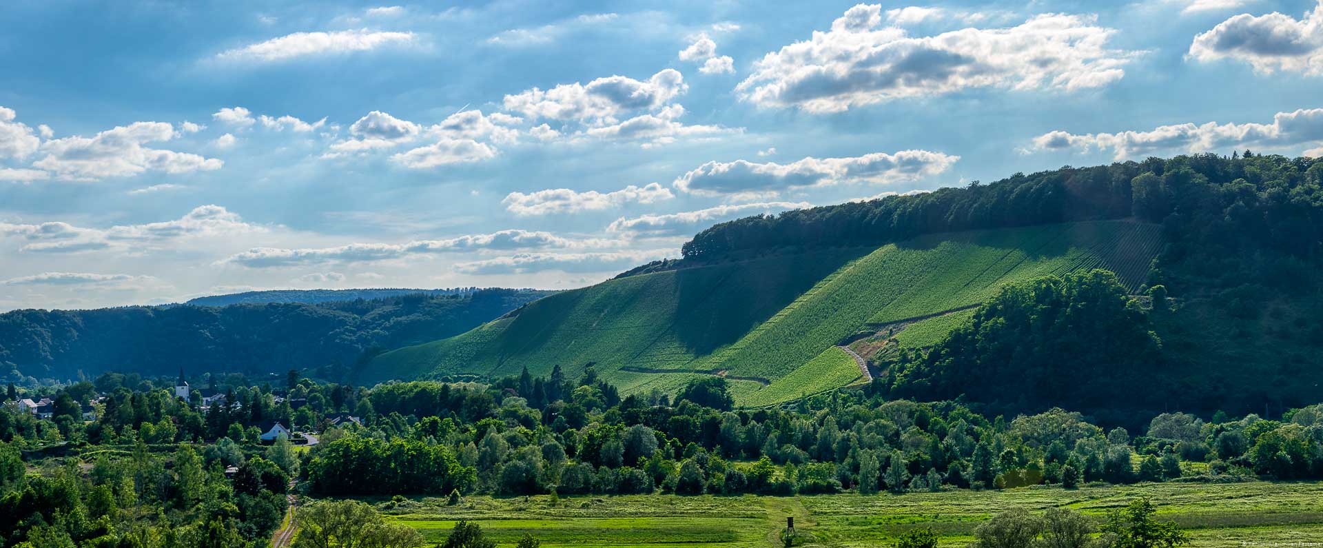 Der Weinberg Kanzemer Altenberg scheint gigantische Ausmaße zu besitzen. Vorne in der Ebene befinden sich Felder, Wälder und Häuser des Ortes Kanzem. Dahinter erstreckt sich der steile Weinberg. Am blauen Himmel sind Wolken.