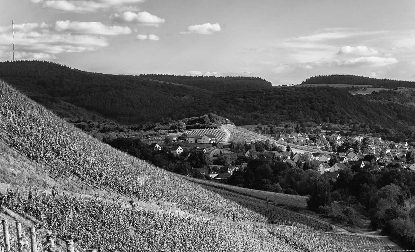 Das Kreuz auf dem Berg stellt das Ende des Weinbergs Wiltinger Gottesfuß dar
