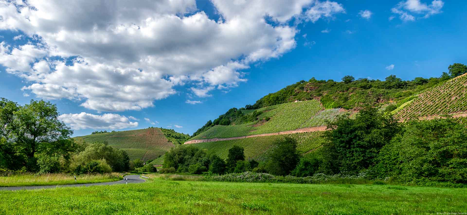 Vorne ist eine Wiese. Links ist eine Straße und Wald im Vordergrund. Dahinter ist der steile Weinberge des Wiltinger Gottesfußes mit Wolken am Himmel.
