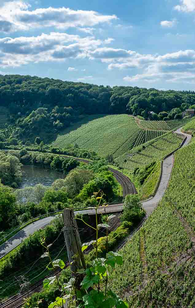 Unten links verläuft die Saar. Am rechten Hang liegt der Weinberg Wiltinger Hölle. Unterhalb des Weinberges verläuft eine Bahnstrecke. Hinten ist ein bewaldeter Hang. Am blauen Himmel sind Wolken.