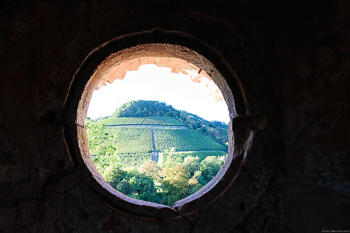 Vom Saarburger Schlossberg kann man auf den Saarburger Rausch blicken. Runde Fenster mit Weinberg im Blick.