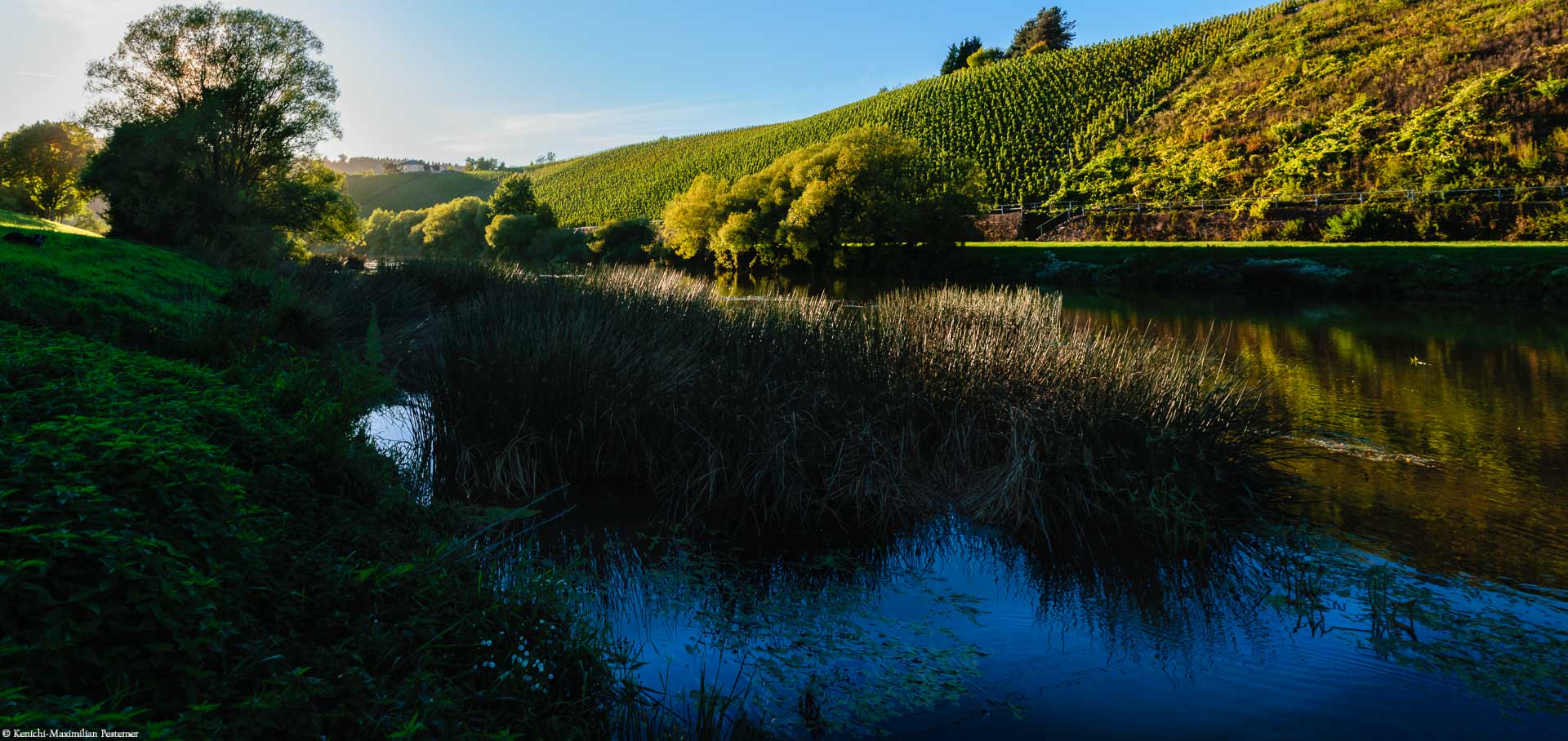 Dieser Weinberg direkt am Fluss gilt als einer der Besseren in der Anbauregion.