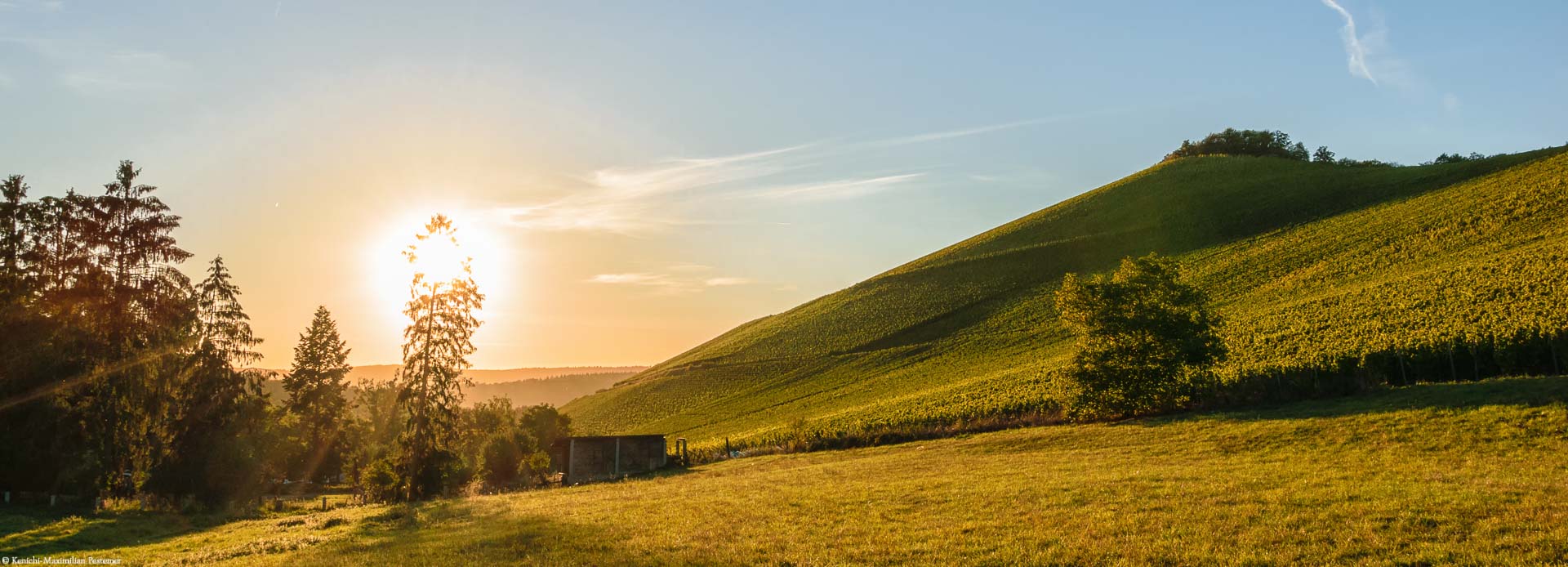 Sonnenuntergang am Weinberg Wiltinger Scharzhofberger. Vorne ist eine Wiese. Links sind Bäume und der Scharzhof. Der Himmel ist rötlich und blau.