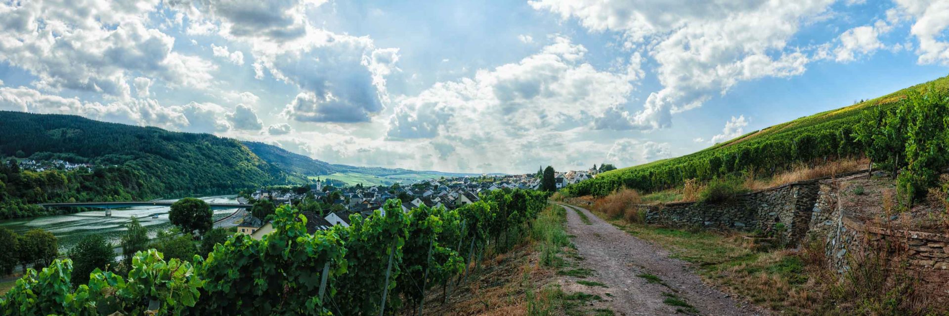 Mehringer Blattenberg Landschaft Kunst