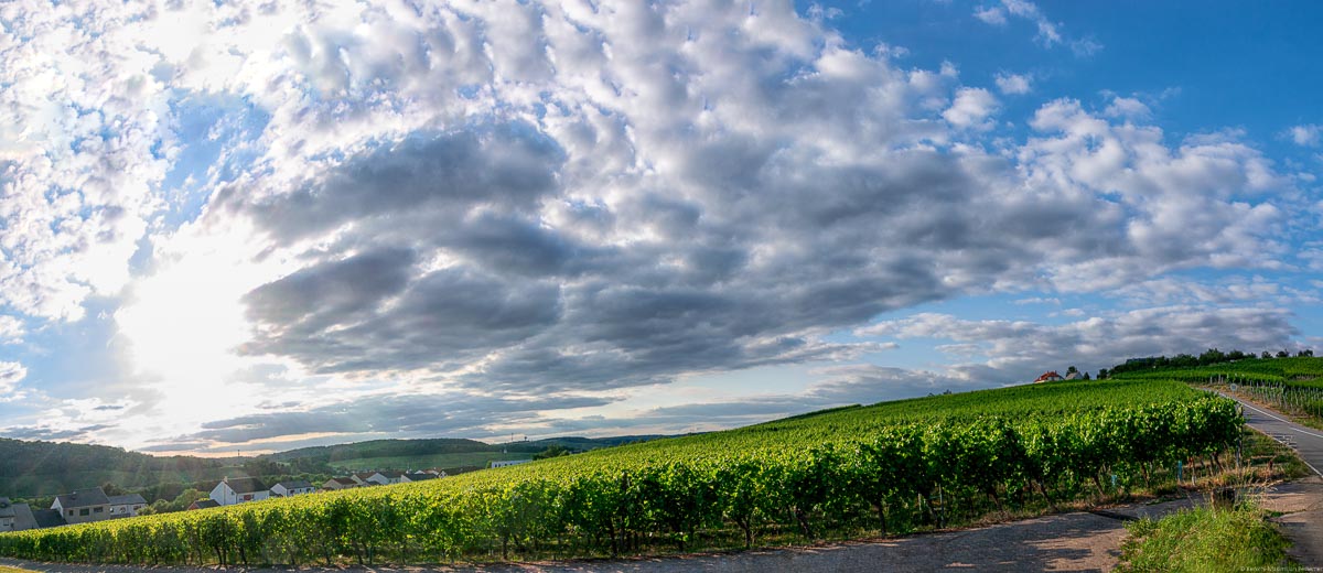 Weinberg, Grenze, drei Orte, bewälkter Himmel, Sonnenuntergang am Dreiländereck von Deutschland, Luxemburg und Frankreich