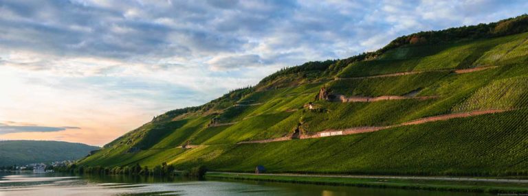Sonnenuntergänge an den Wehlener Weinberge können ein wahres Spektakel sein.