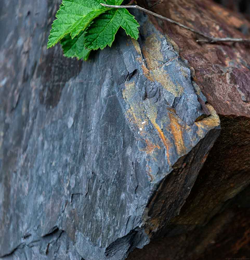 Weinberg Neefer Frauenberg - Mosel Schiefer in blauer, grauer und rötlicher Farbe