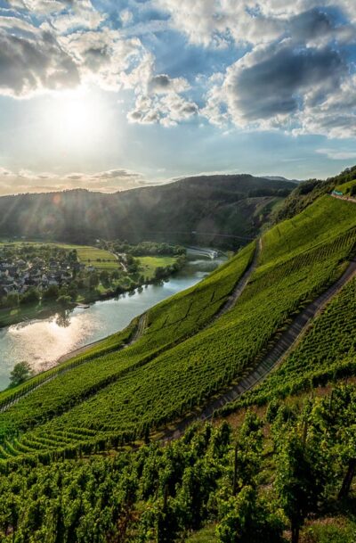 Puendericher Marienburg Landschaft Mosel Art