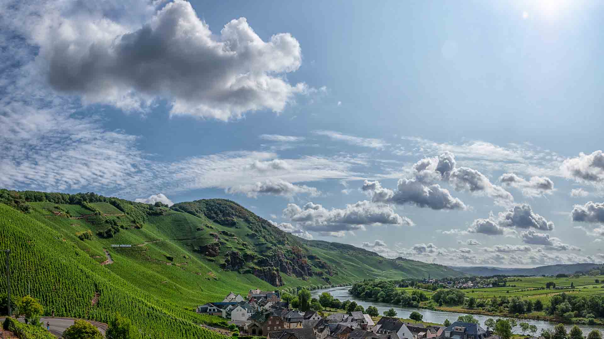 Wundervolle Aussicht vom Weinberg Uerziger Wuerzgarten bis zum WEinberg Erdener Treppchen. In der Mitte befindet sich der Fluss Mosel.