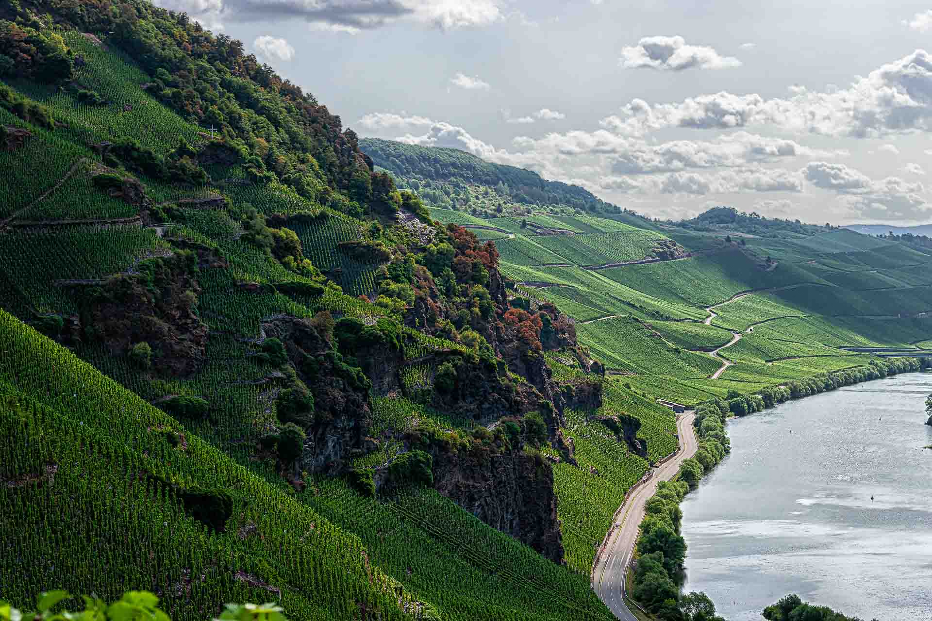 Steiler Weinberg Erdener Prälat, rote Felsen, Mosel rechts unten, Wolken im Hintergrund,