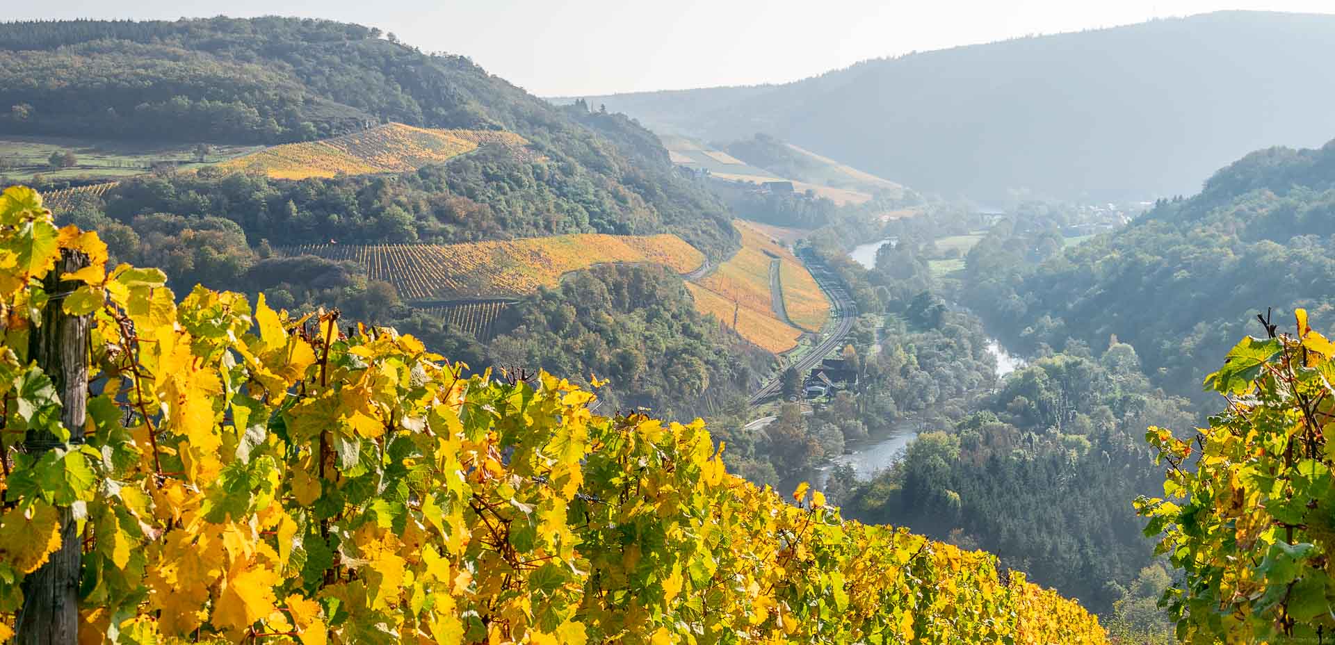 Vom Weinberg Schlossboeckelheimer Felsenberg blickt man geradeaus in ein Tal. Dort fließt der Fluss Nahe. Zur linken Seite des Flusses türmen sich Weinberge auf. Auf der rechten Seite des Flusses im Tal türmen sich Wälder auf. Im Hintergrund liegt der Ort Oberhausen an der Nahe.