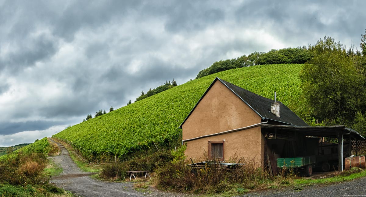 Vorne ist ein alter Schuppen. Dahinter liegt der steile Weinberg Kaseler Dominikanerberg. Über dem Weinberg befindet sich Wald. Der Himmel in der oberen Bildhälfte ist bewölkt.