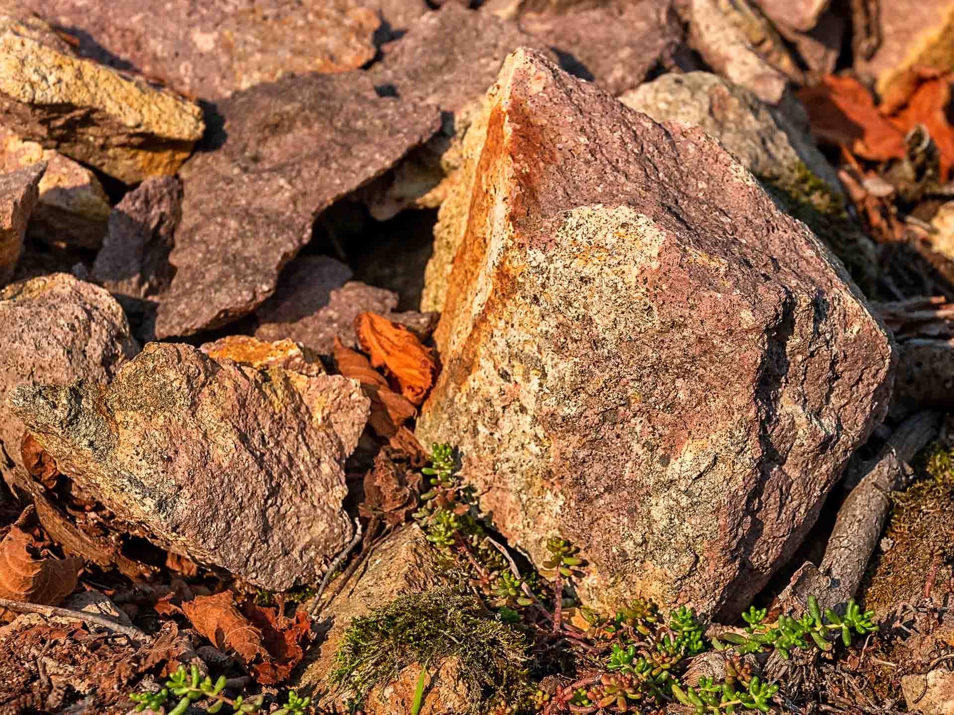 Dieses Rhyolith-Gestein auf dem Weinberg Siefersheimer Heerkreetz ist Weiß, Gelb, Rot und Magenta