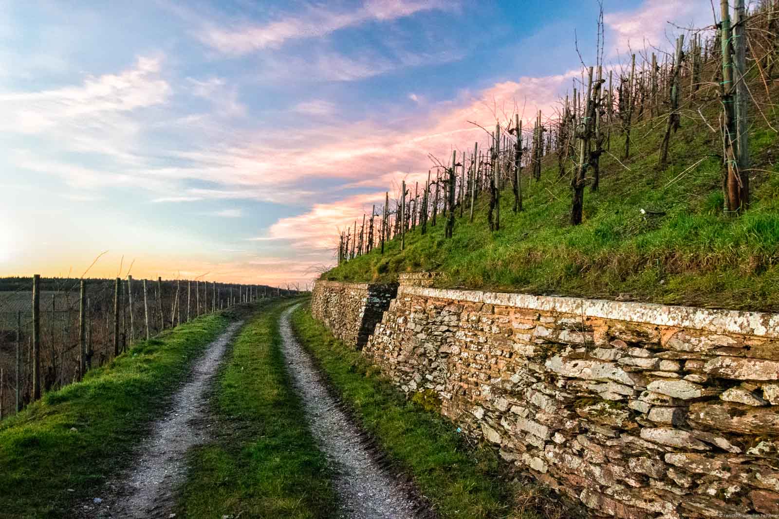 Vom Herrenberg kommen eher voluminöse Weine