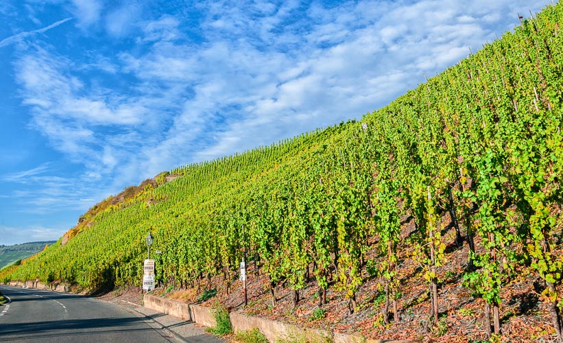 Der Weinberg Bernkasteler Lay befindet sich an einer Straße. Von diesem Weinberg kommen die Bernkasteler Lay Riesling Weine. Am blauen Himmel befinden sich Wolken.