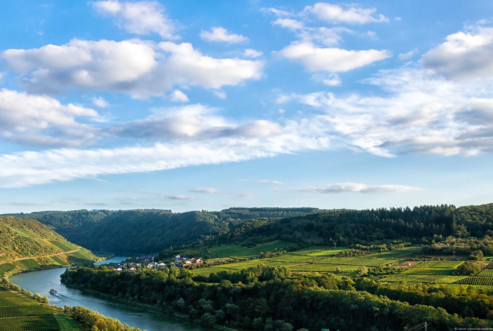 Links fließt der Fluss Mosel. Auf der rechten Seite sind Weinberg Briedeler Schelm. Oben Himmel. Hinten der Ort Briedel.