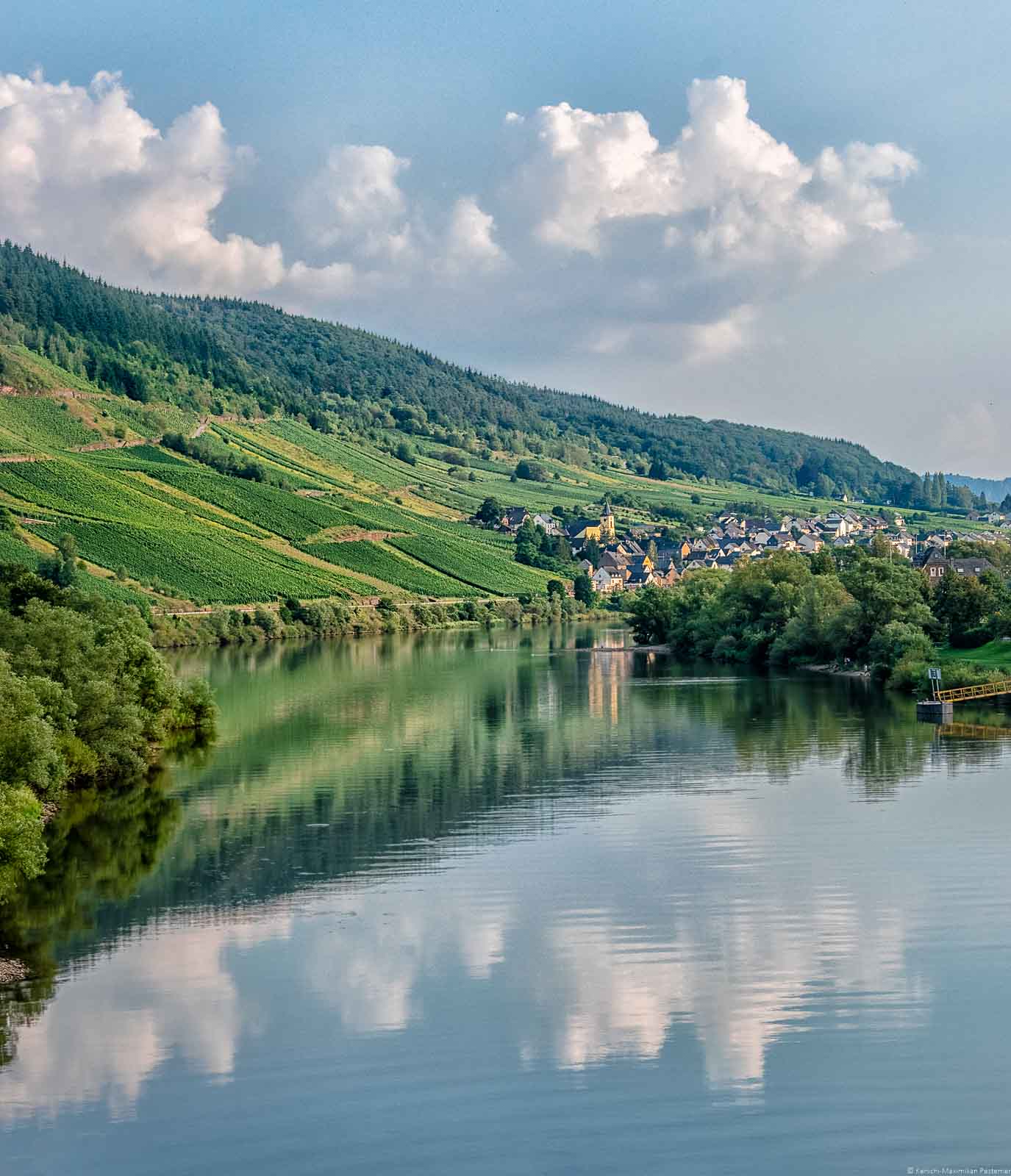 Man blickt über die Mosel auf den Ort Burg. Hinter dem Ort befindet sich der Weingarten Burger Falklay.