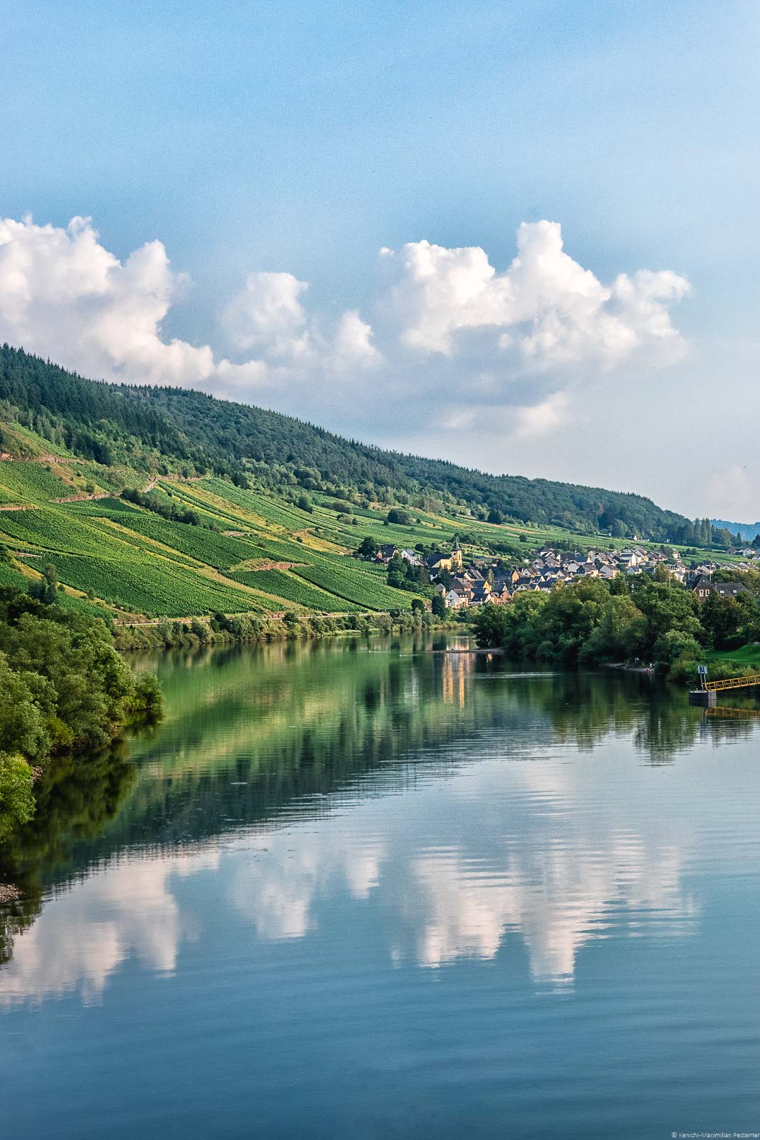 Der Weinberg Burger Hahnenschritten spiegelt sich im Fluss Mosel. Im Hintergrund befindet sich der Ort Burg.
